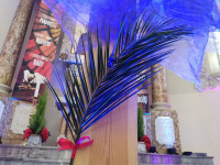 IMG_20210328_170946.jpg