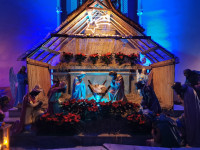IMG_20201225_074846.jpg
