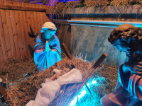 IMG_20201225_074344.jpg