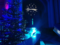 IMG_20201224_162058.jpg
