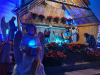 IMG_20201225_074451.jpg