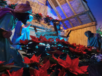 IMG_20201225_074423.jpg