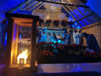IMG_20201225_074804.jpg