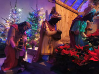 IMG_20201225_074403.jpg