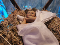 IMG_20201225_074310.jpg