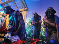 IMG_20201225_074414.jpg