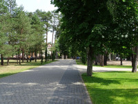 DSC00859.JPG