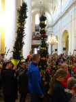 DSC00782.JPG
