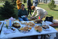 DSC_0095.JPG