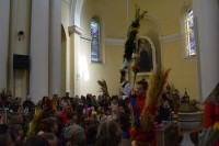DSC_0142.JPG