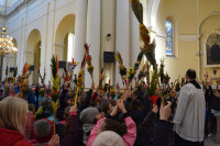 DSC_0073.JPG