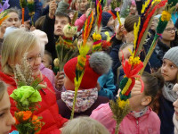 DSC00780.JPG