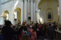 DSC_0180.JPG