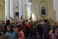 DSC_0189.JPG