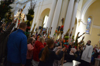 DSC_0080.JPG