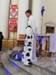IMG_20190407_120119.jpg