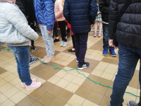 IMG_20190407_115424.jpg