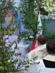 DSC07475.JPG
