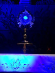 DSC07308.JPG
