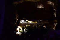 DSC_0206.JPG