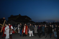 DSC_0137.JPG
