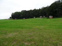 DSC05356.JPG