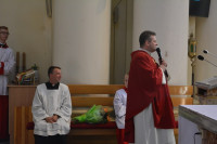 DSC_0713.JPG