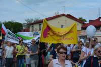DSC_0242.JPG
