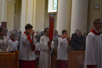 DSC_1135.JPG
