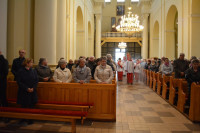 DSC_1130.JPG