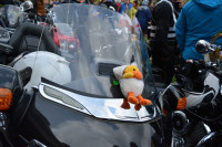 DSC_0901.JPG