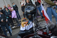 DSC_0919.JPG