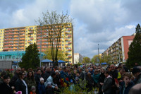 DSC_0824.JPG