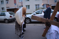 DSC_0742.JPG