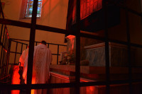 DSC_0538.JPG