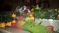 WP_20161105_19_18_56_Pro.jpg