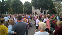 WP_20160806_08_04_59_Pro.jpg