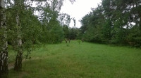 WP_20160626_16_29_44_Pro.jpg