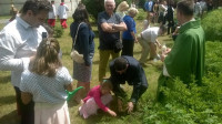 WP_20160612_12_35_55_Pro.jpg