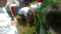 WP_20160612_12_31_47_Pro.jpg