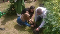 WP_20160612_12_38_32_Pro.jpg