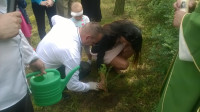 WP_20160612_12_33_53_Pro.jpg