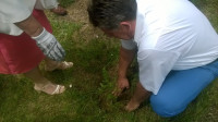 WP_20160612_12_43_45_Pro.jpg