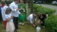 WP_20160612_12_41_16_Pro.jpg