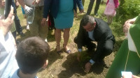 WP_20160612_12_34_52_Pro.jpg