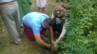 WP_20160612_12_39_58_Pro.jpg