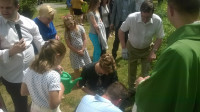 WP_20160612_12_36_32_Pro.jpg