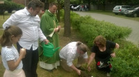 WP_20160612_12_41_07_Pro.jpg