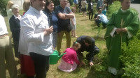 WP_20160612_12_35_35_Pro.jpg