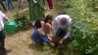 WP_20160612_12_38_41_Pro.jpg